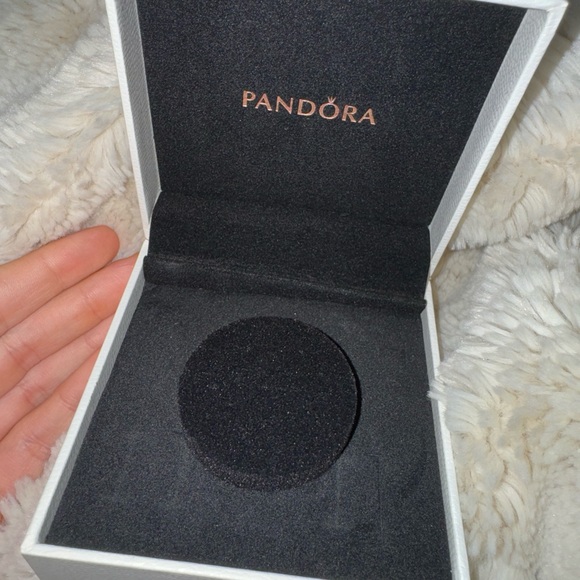 Pandora Bracelets with Charms - Picture 6 of 6